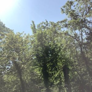 Meet your Posher, Kennedi